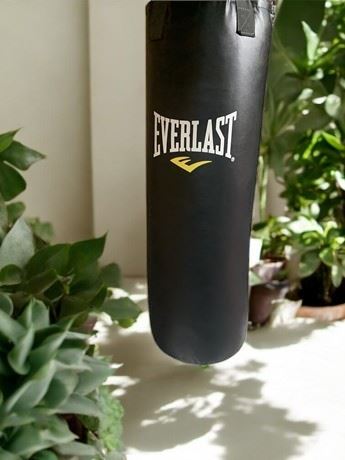 Everlast 36 Inch Heavy Punching/Kicking Hanging Exercise Bag - Never Used