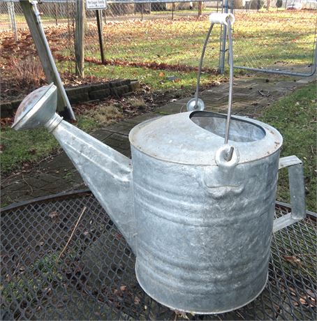 Galvanized Water Can