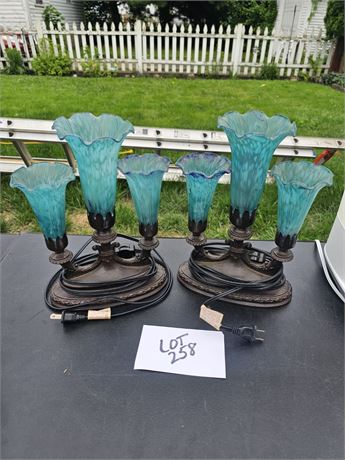 Teal Tulip Matching C3 Table/ Vanity Lamps