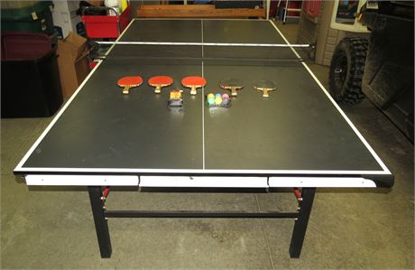 Ping Pong Table