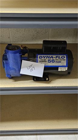 Dyna-Flo 7HP Pool & Spa Pump