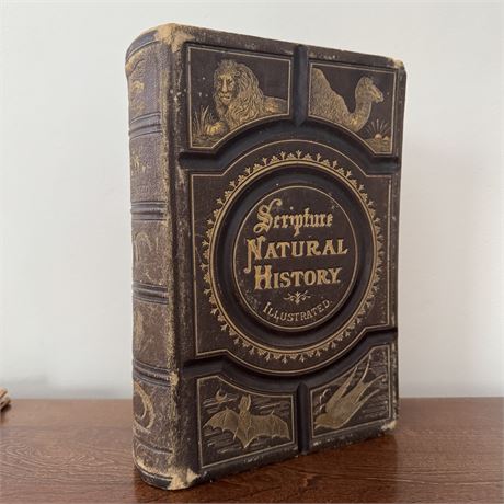 Antique 1875 Wood's Bible Animals; Illustrated, Leather Bound (See Desc)