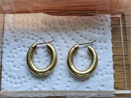 18K (750) Gold Earrings