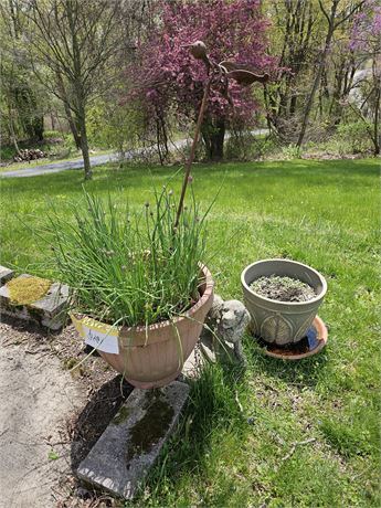 Large Planter / Concrete Dog / Metal Bird & More