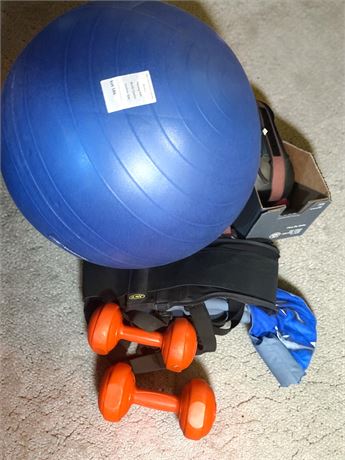 Home Fitness Equipment Lot - Stability Ball, Dumbbells & More