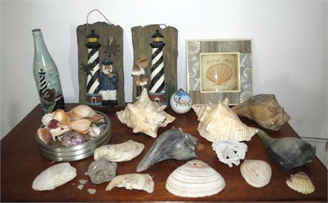 Lighthouse Decor/Beach Decor/ Shells