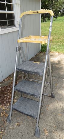 Cosco Step Ladder