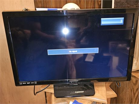 Magnavox 29" Flatscreen TV