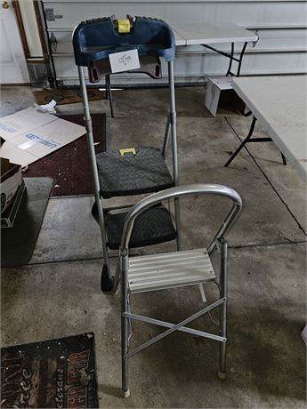 Heavy Duty Painters Ladder & Step Ladder