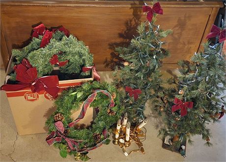 Christmas Decor- Lighted Trees, Wreaths and Window Lights