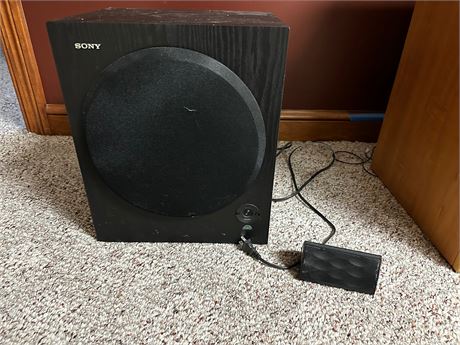 Sony Active Subwoofer