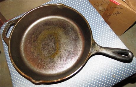 Lodge Cast Iron Skillet