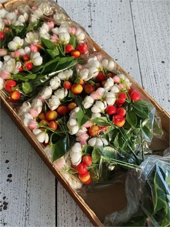 Large Heritage Crab Apple Fruit/Flower Pick Bundles - 10 Boxes Total