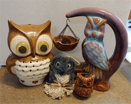 Owl Collection 5
