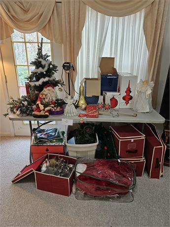 Large Christmas Lot:Ornaments/Garland/Skirt/Storage/3ft Tree & Much More