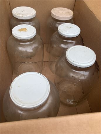 Glass Jar Lot Of 6 - 1 Gallon Storage Jars