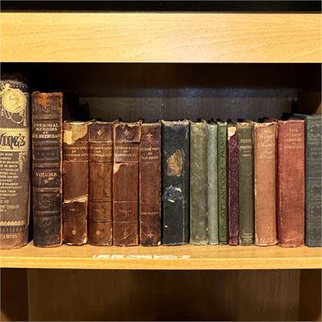 Single Shelf Antique Books Cleanout