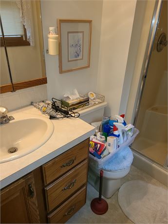 Bathroom Cleanout: Medical Supplies/Cleaners/Health & Beauty Plus More