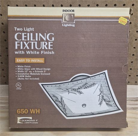 Two Light Ceiling Fixture
