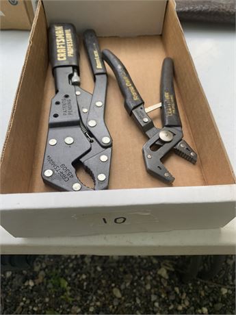 Craftsman RoboGrip Pliers Set