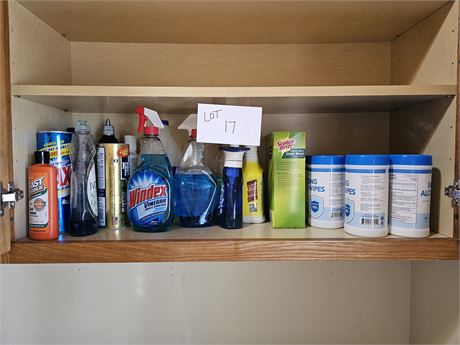 Cupboard Cleanout: Cleaners / Chemicals & More