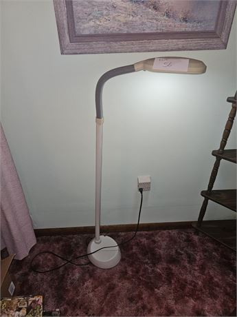 Gooseneck Floor Reading Lamp