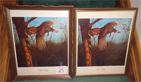 Wild Turkey Prints