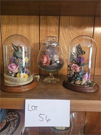 Natural Expressions Freeze Dried Floral Decor