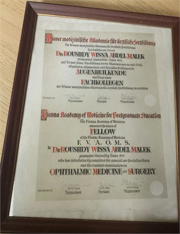 Medical Ephemera - Framed Ophthalmology Certificate Vienna Academy of Medicine