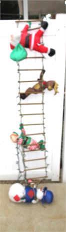 Christmas Lighted Ladder