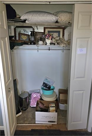 Closet Cleanout - Scale, Shower Curtains, Pillows, Storage, Art & More