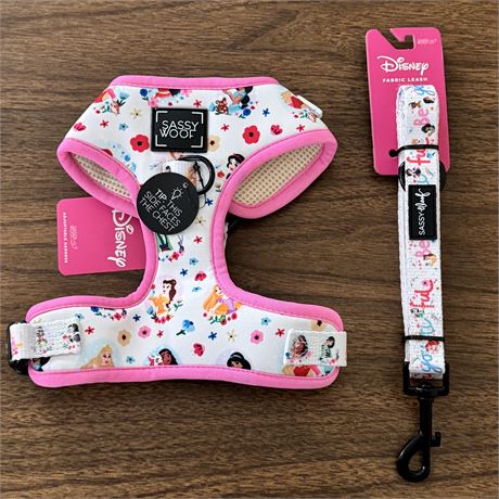 New Disney Princess Dog Harness (Size Small) and Matching Leash