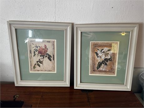 Pair of Floral Framed Prints