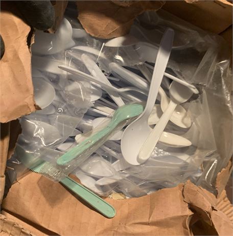 Single-Use Plastic Spoon Lot - 2 Boxes