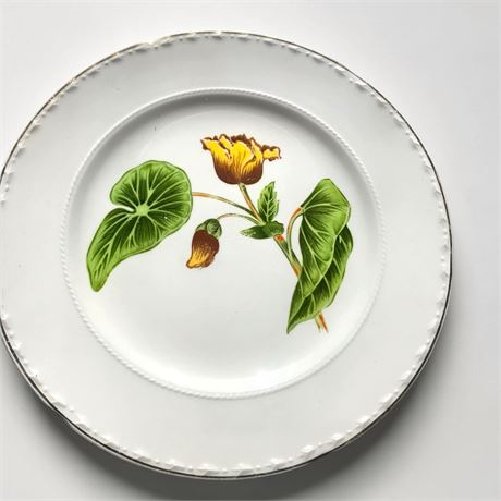 Crooksville China Company Set Delmar Begonia La Grande Pattern