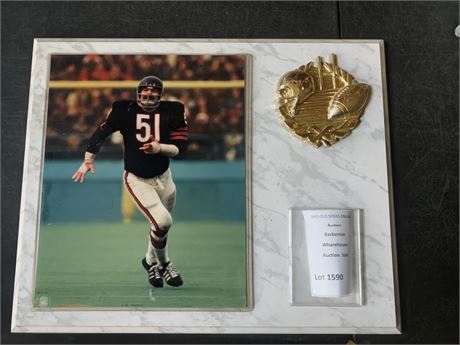 Dick Butkus Chicago Bears  8 x 10 Framed Action Photo Plaque