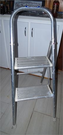 Werner 2 Step Stool