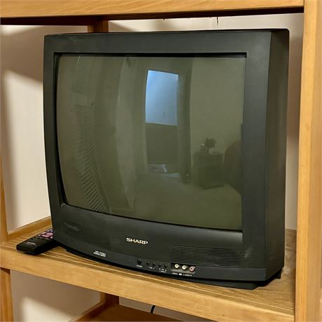 Sony TV with Remote - Model 20N-S100S