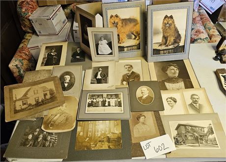 Antique Photo Lot: Animals / Houses / Families & More