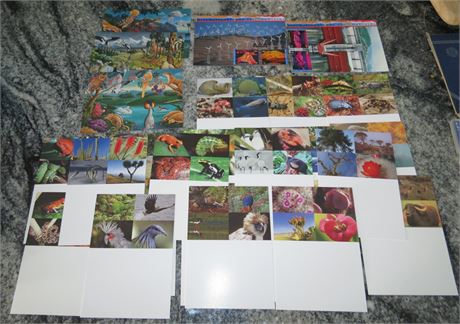 Assorted Postcards From The United Nations