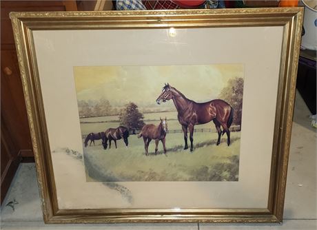 Horse Framed Picture