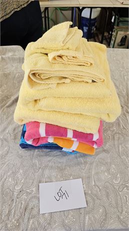 Mixed Towel Lot