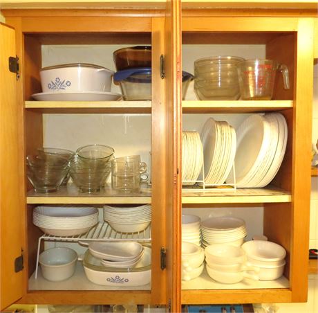 Kitchen Cabinet Cleanout