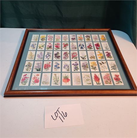 Framed Tobacco Flower Cards 1994