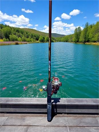 Shakespeare Mantis Fishing Pole