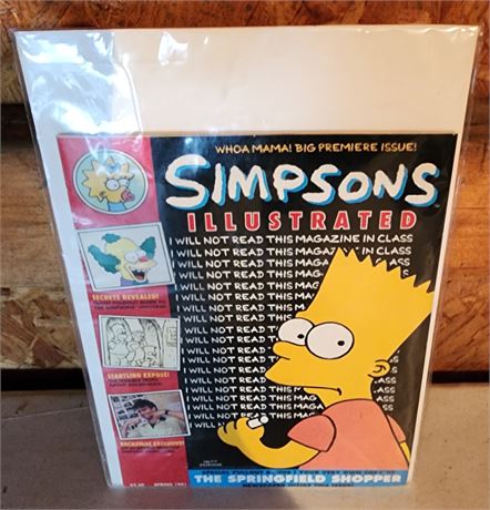 The Simpsons 1991 Illustrated