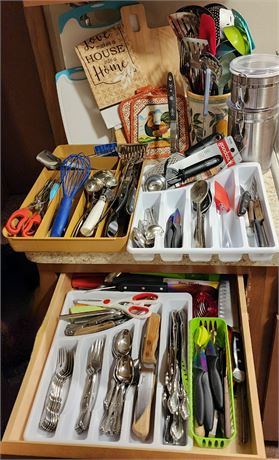 Silverware & Utensils Clean-Out