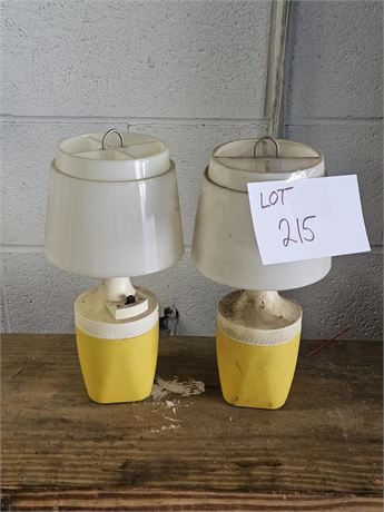 Ray-O-Vac #100 Camping Lamps