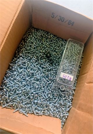 Pan Head Self-Drilling Screw Lot (1 Box)