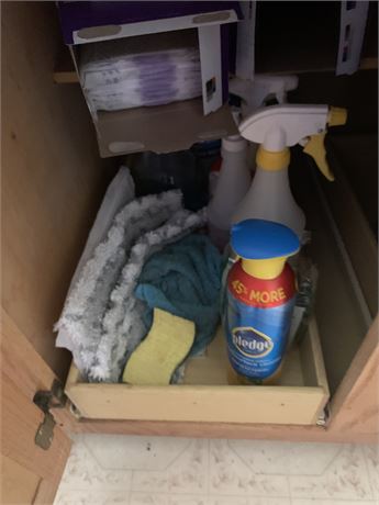 Home Cleaning Supplies Lot